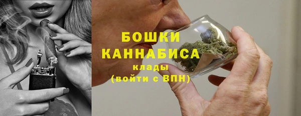 МДПВ Дмитров