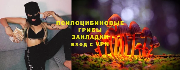 МДПВ Дмитров