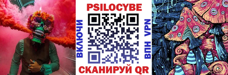 Галлюциногенные грибы ЛСД Салаир